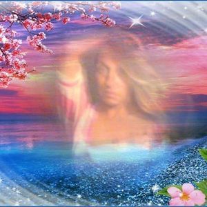 Meet your Posher, Jodi